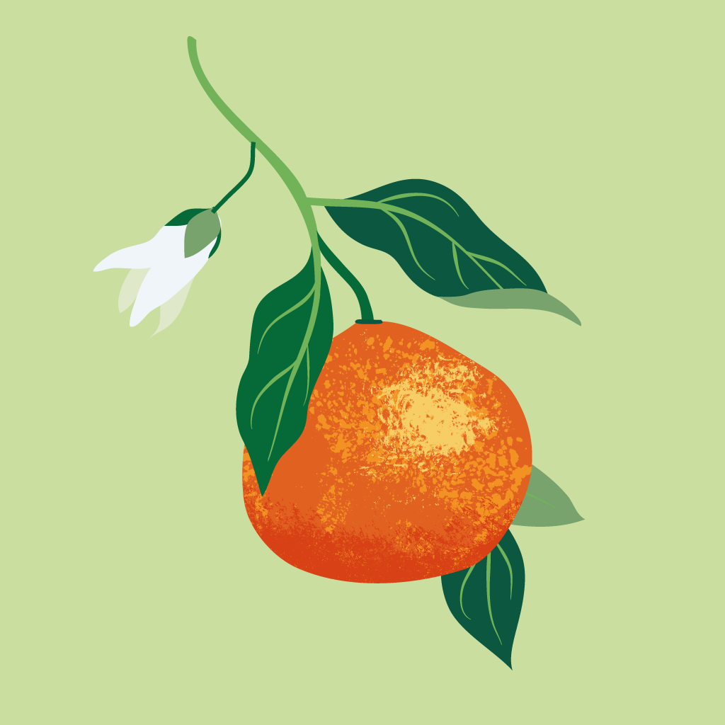 Mandarina