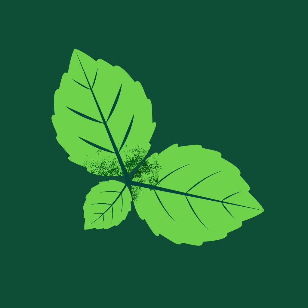 Menta Piperita