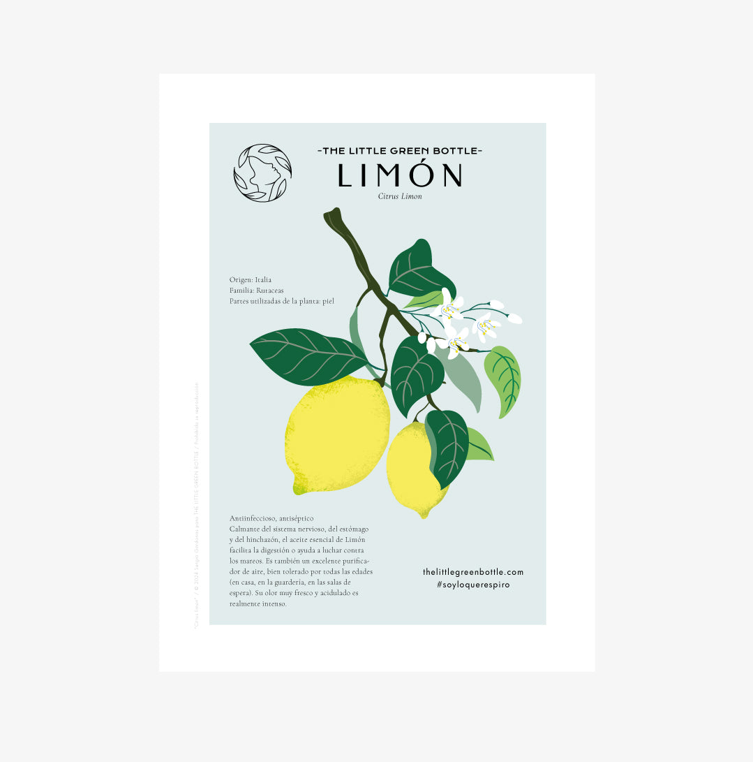 Poster decorativo - Lámina botánica