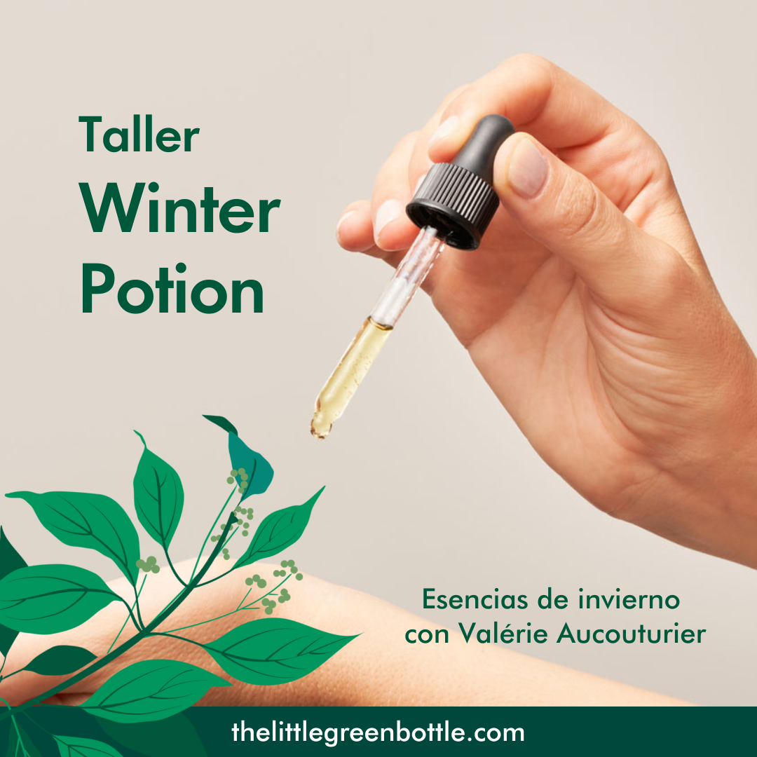Taller Esencias - SUBE LAS DEFENSAS - The Winter Potion