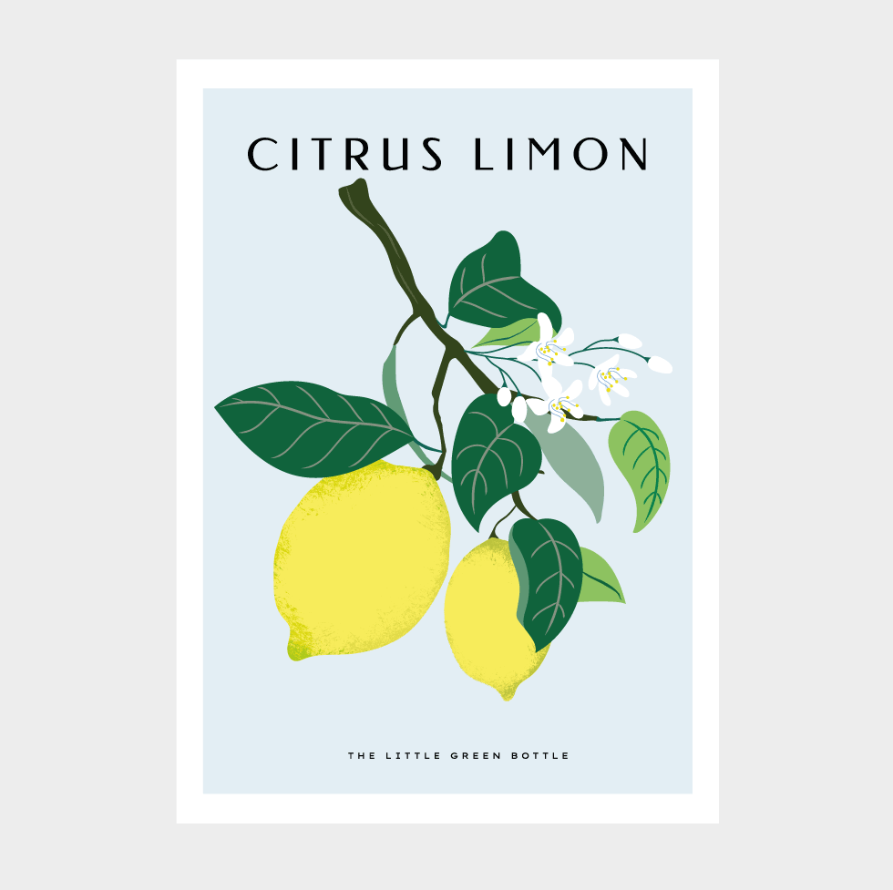 Poster Citrus Limón
