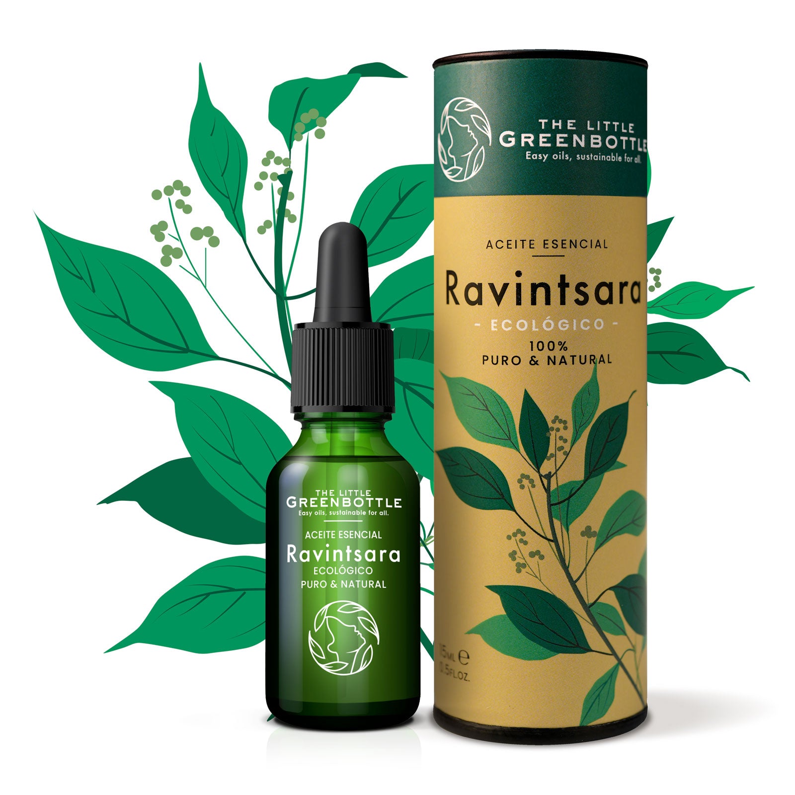 Ravintsara - Huile Essentielle - Défenses naturelles — The Little Green  Bottle